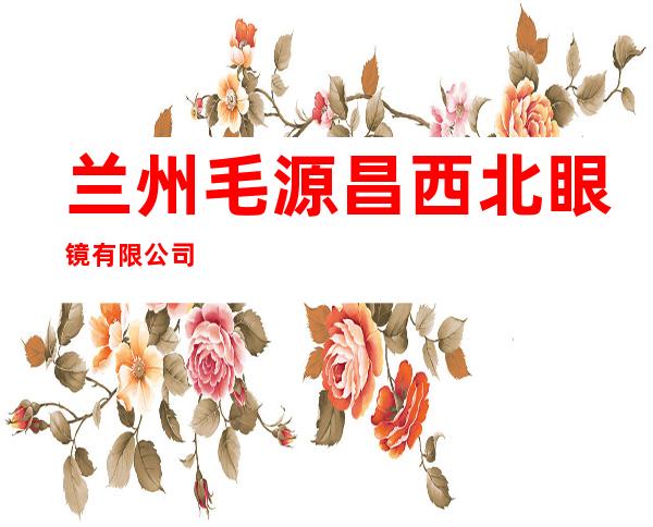 兰州毛源昌西北眼镜有限公司