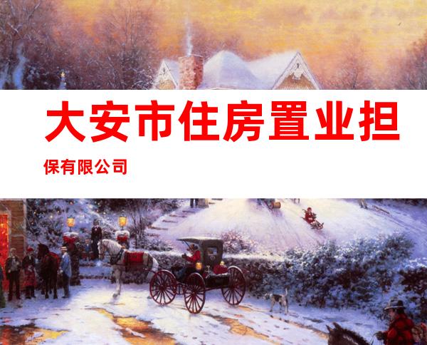 大安市住房置业担保有限公司