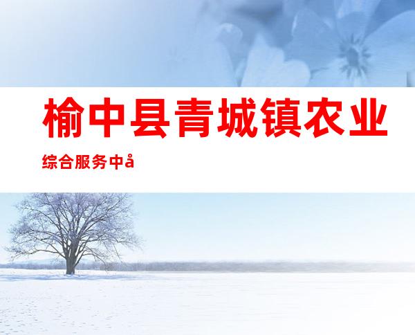 榆中县青城镇农业综合服务中心第一服务部